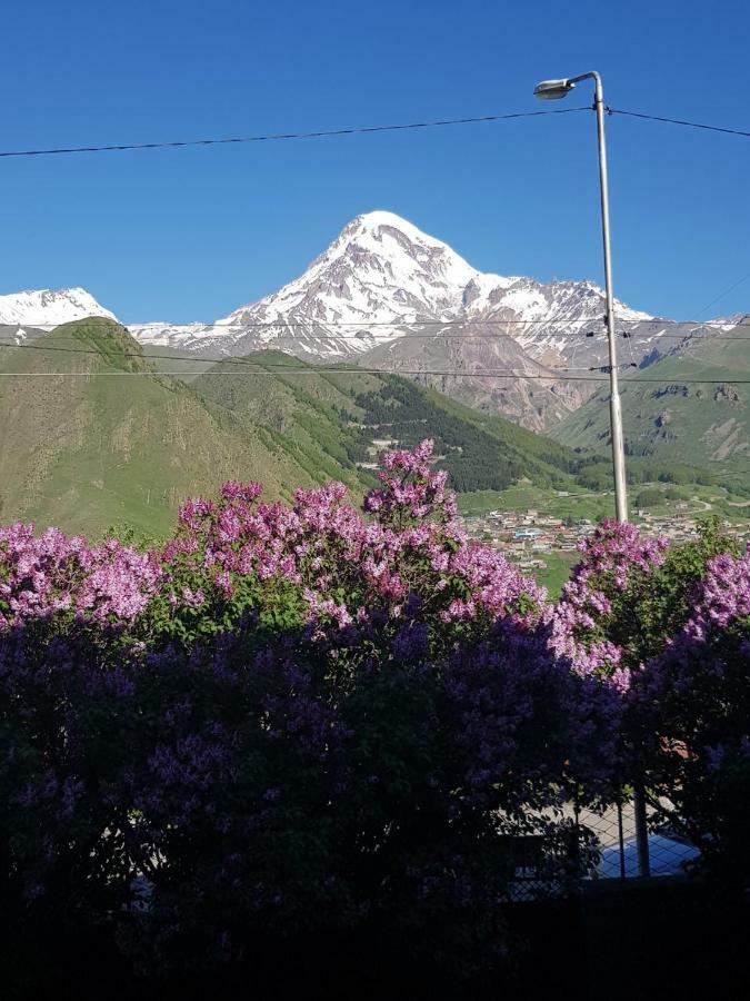 Hilltop Kazbegi エクステリア 写真